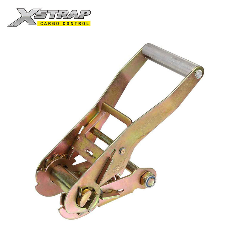 69028 2 Inch fibulae fibulae latae manubrii longi